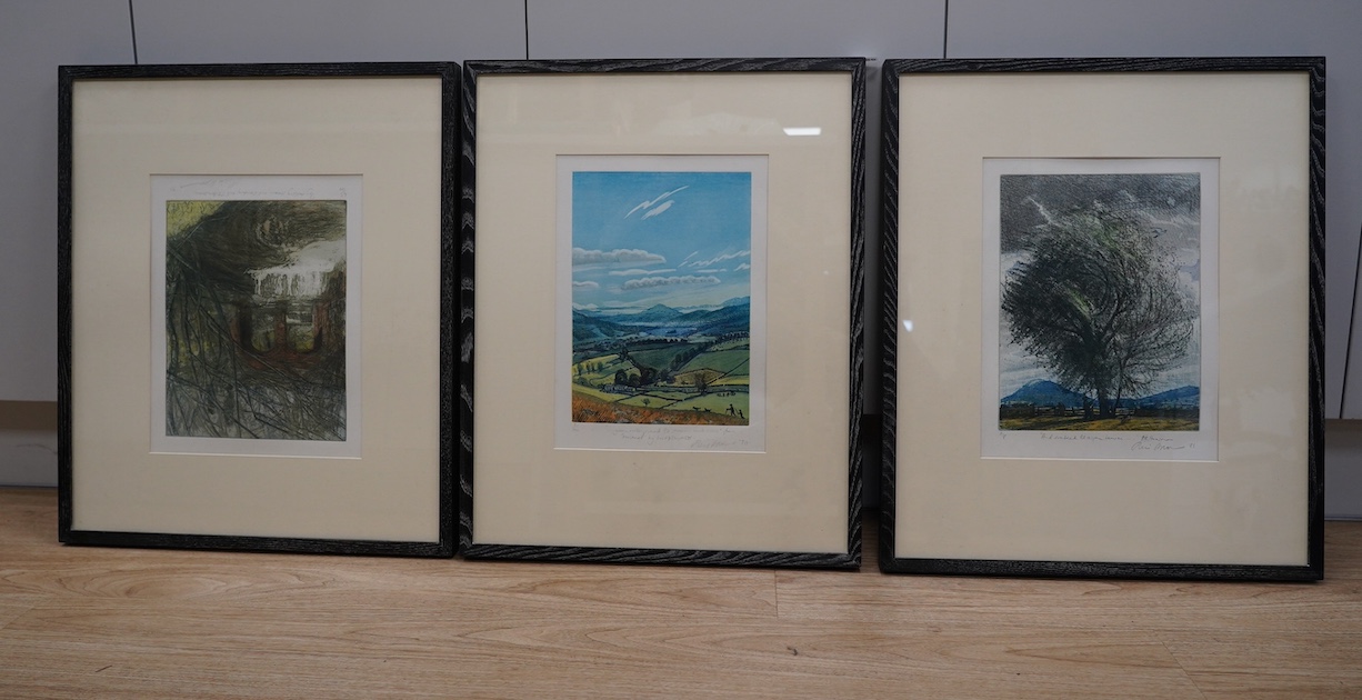 Piers Browne (b.1949), three etchings with aquatint, 'Green Valley' and 'By falling stream and the standing will', two limited edition, one artist proof, 34 x 24cm. Condition - fair to good